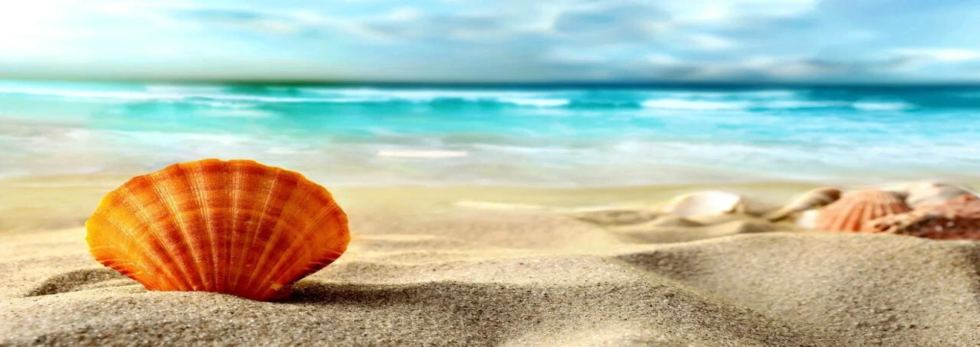 Holidays 2025 / 2026 | £49pp Deposits | Journey Bookers